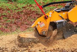 Best Lot and Land Clearing  in San Pablo, CA